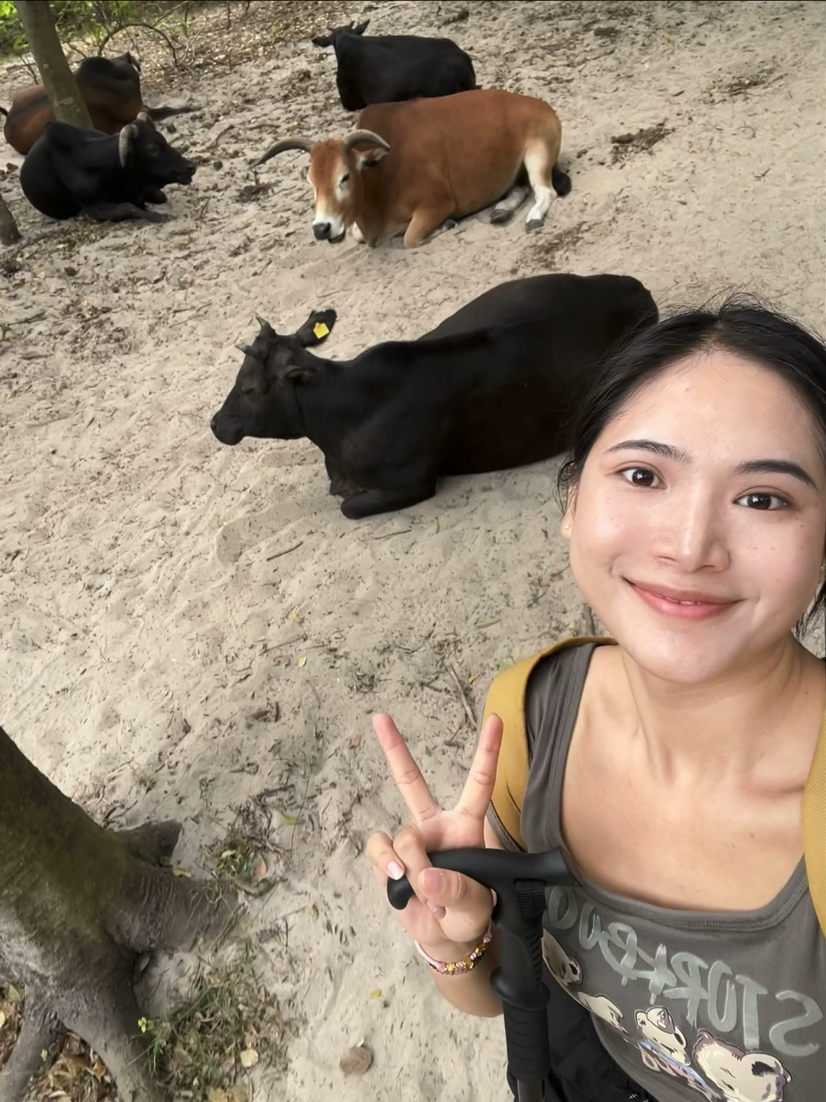 首次在游侠客跟团徒步——麦理浩径绝美！！