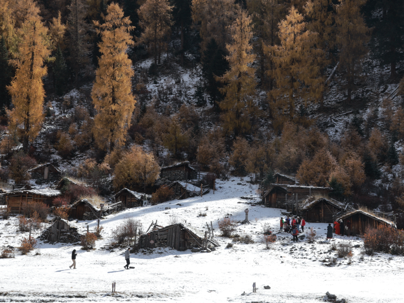 理小路-看最好看的的川西雪山秋色(10.26-10.29)