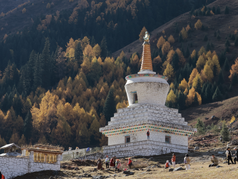 理小路-看最好看的的川西雪山秋色(10.26-10.29)