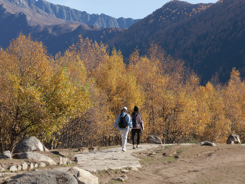 理小路-看最好看的的川西雪山秋色(10.26-10.29)