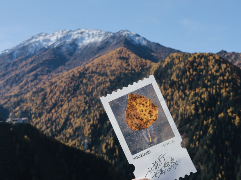 理小路-看最好看的的川西雪山秋色(10.26-10.29)