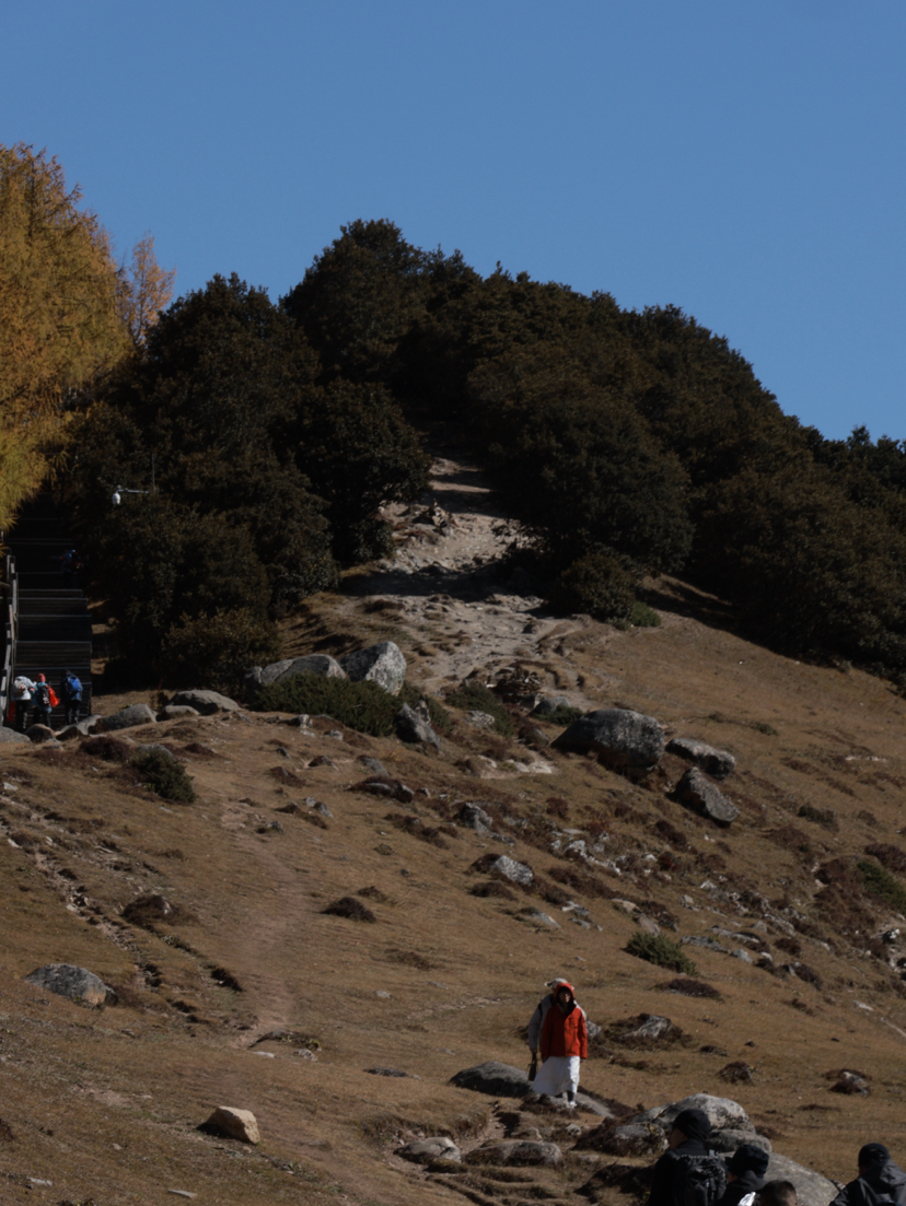 理小路-看最好看的的川西雪山秋色(10.26-10.29)