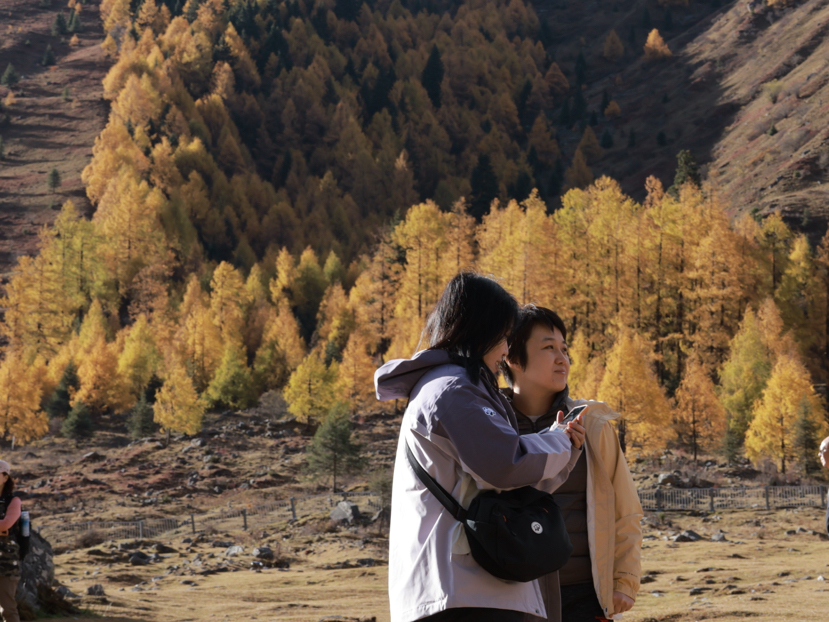 理小路-看最好看的的川西雪山秋色(10.26-10.29)