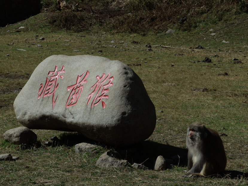 九寨秋色环线之穿越彩林与冰川的奇幻之旅