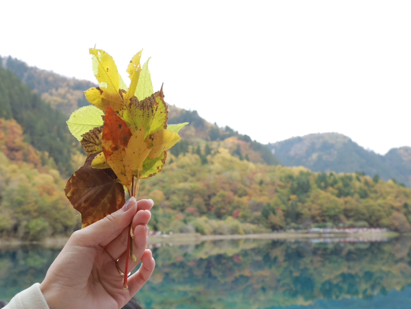 九寨秋色环线之穿越彩林与冰川的奇幻之旅
