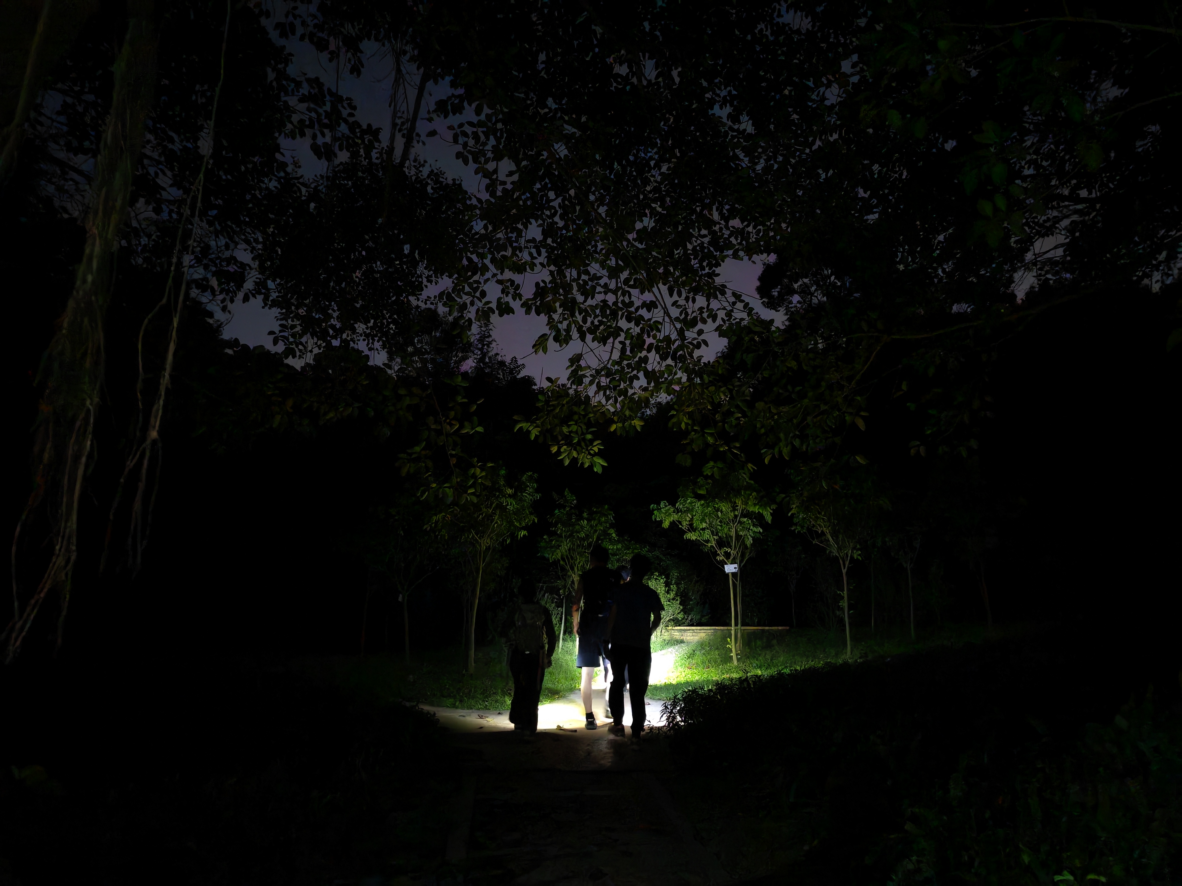 白云山夜爬N刷