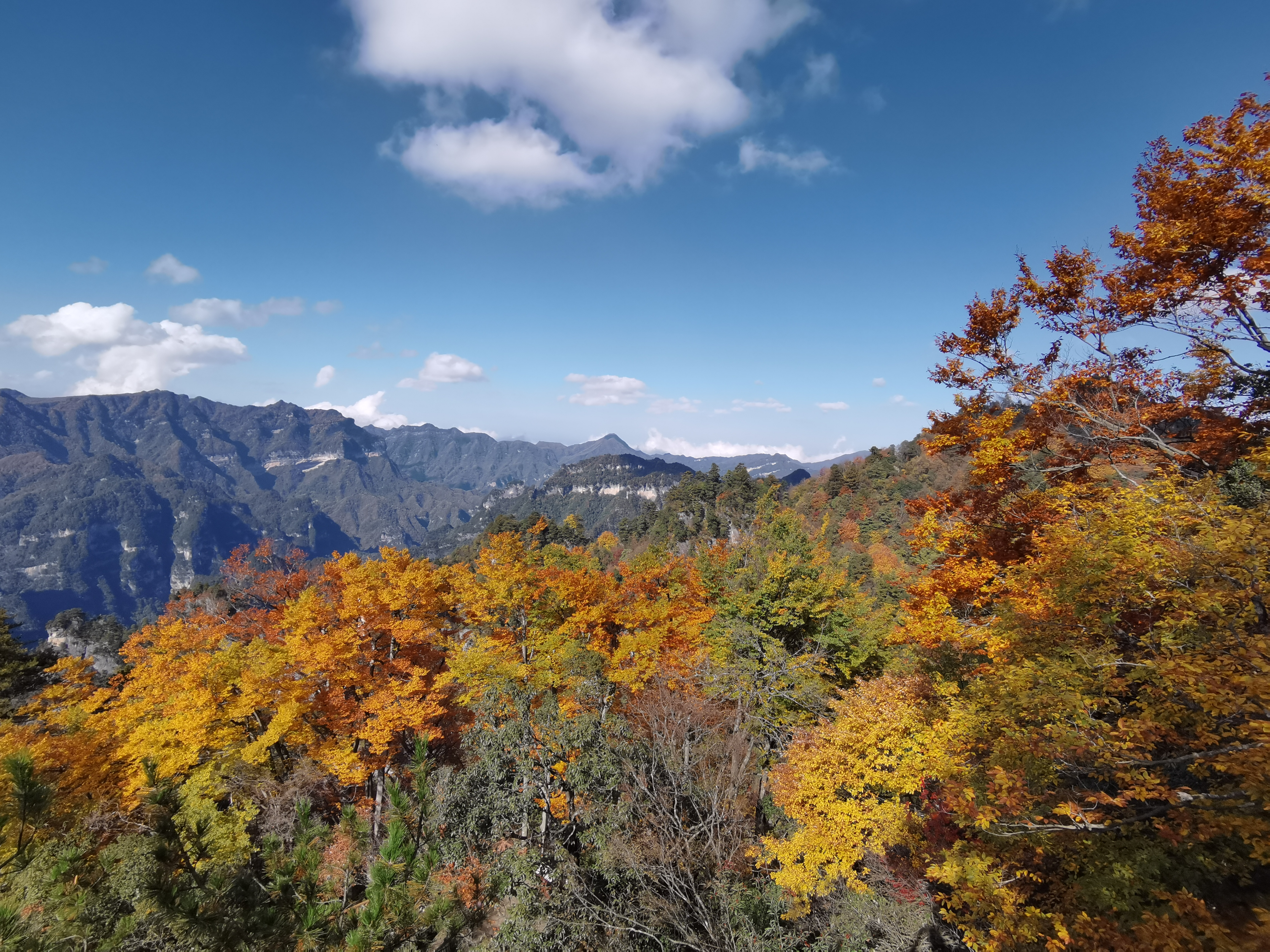 山雾山