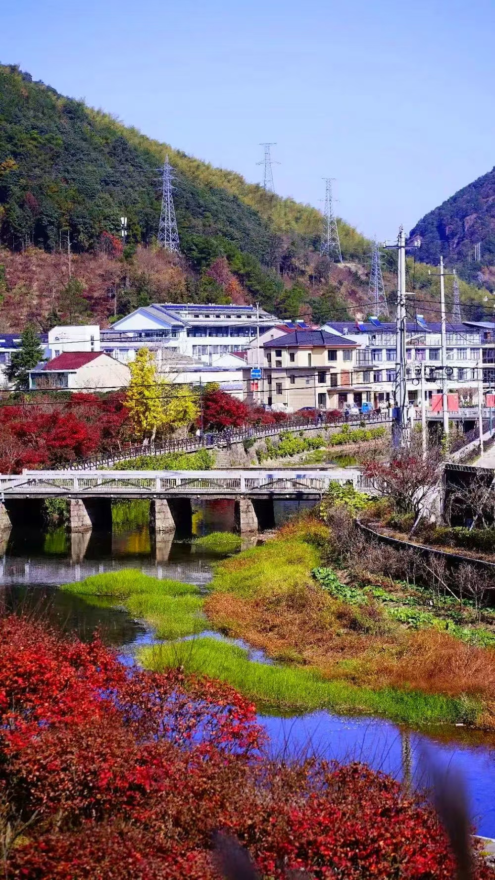 红枫谷
