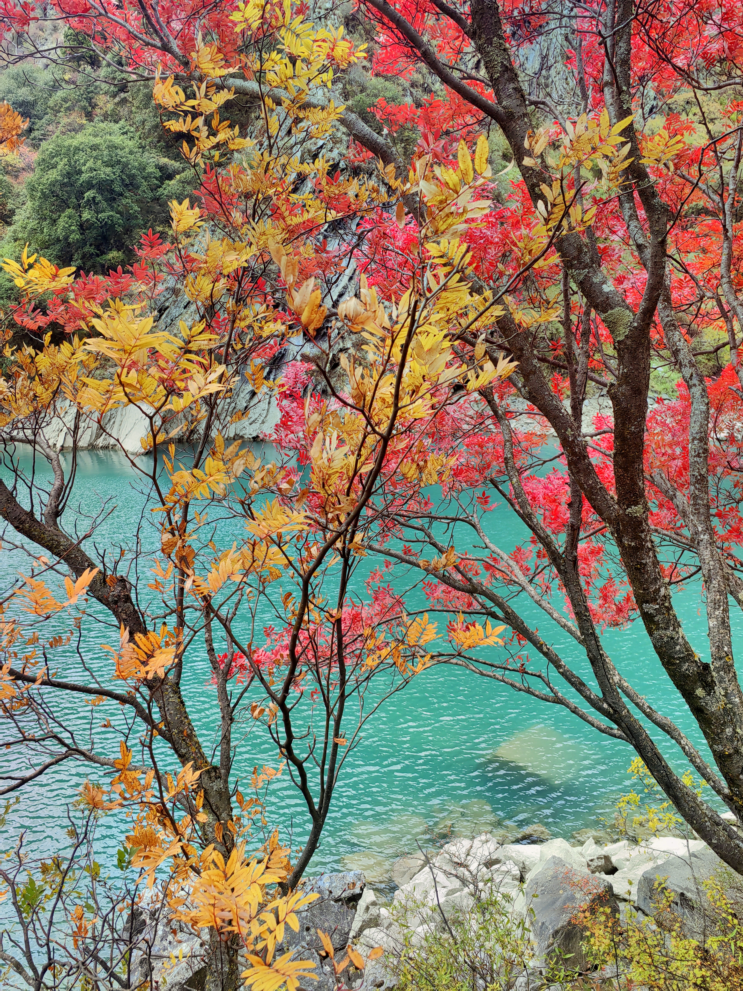 川西彩林松坪沟
