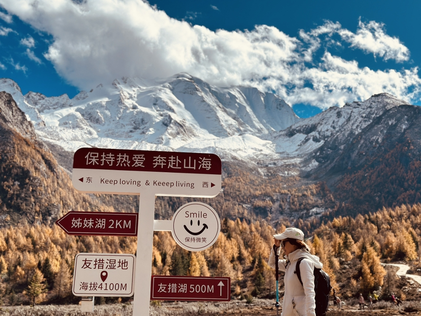 秋季的党岭是金色的