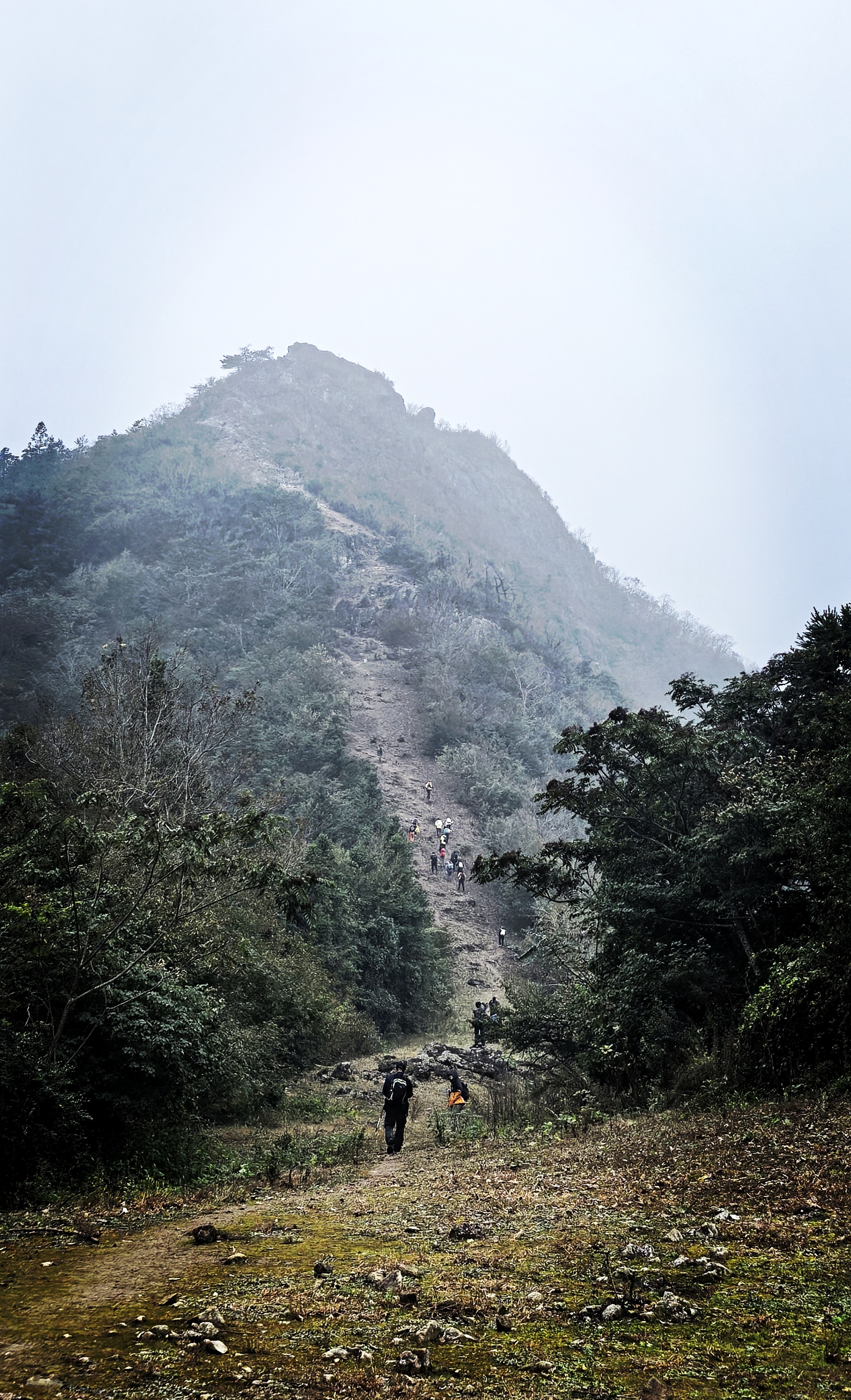 大雷山