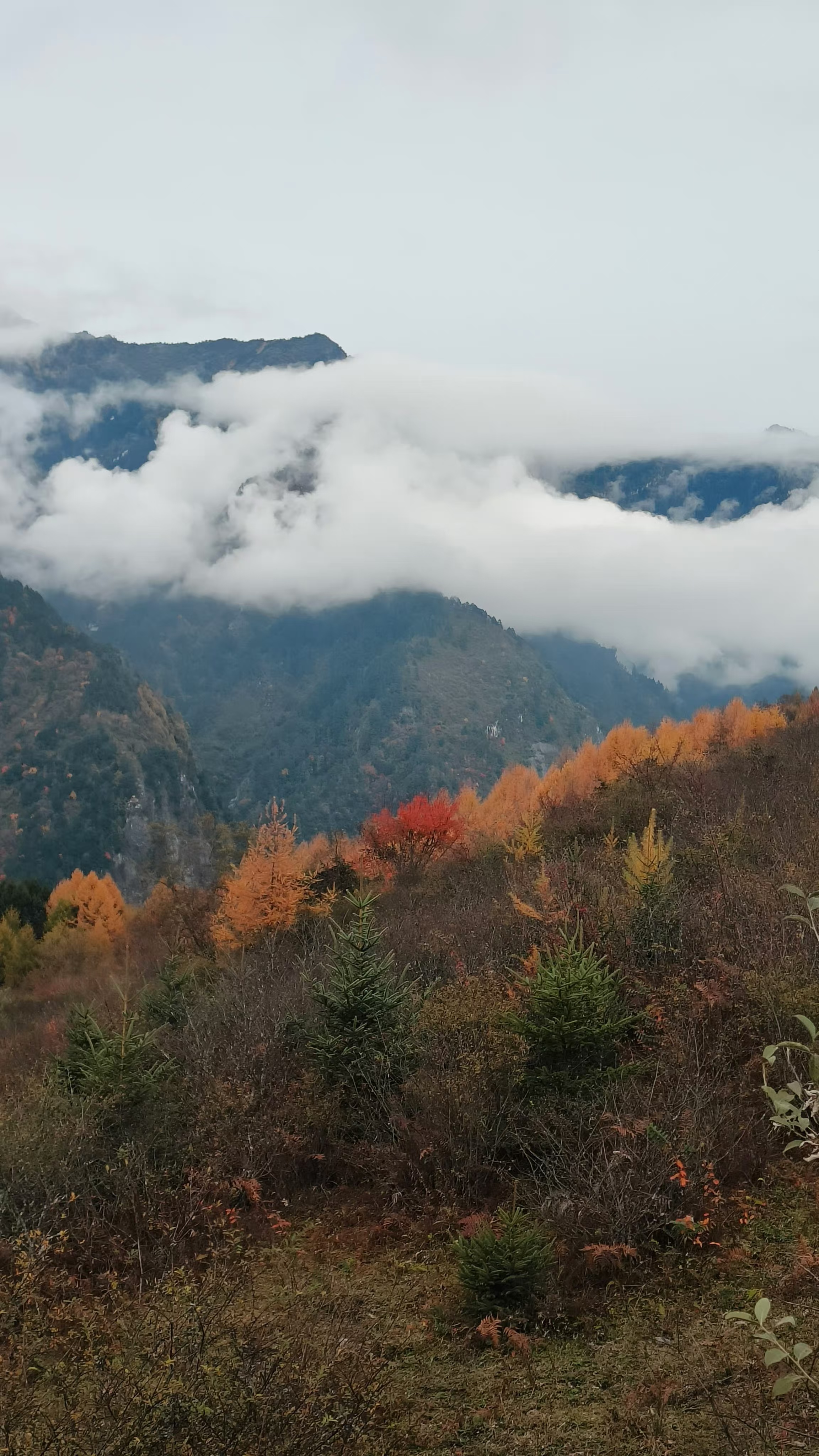帮父亲记录的云中岭