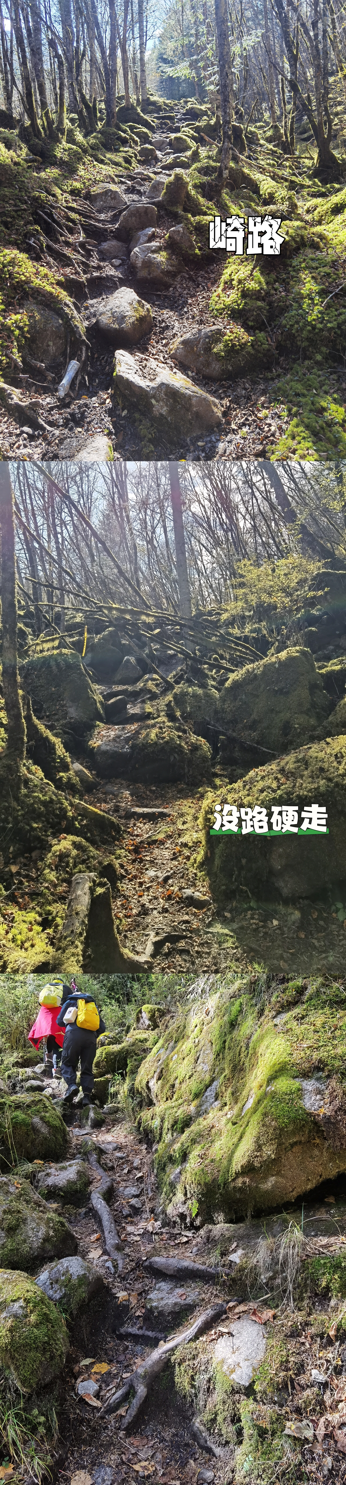 遇到雪山啦