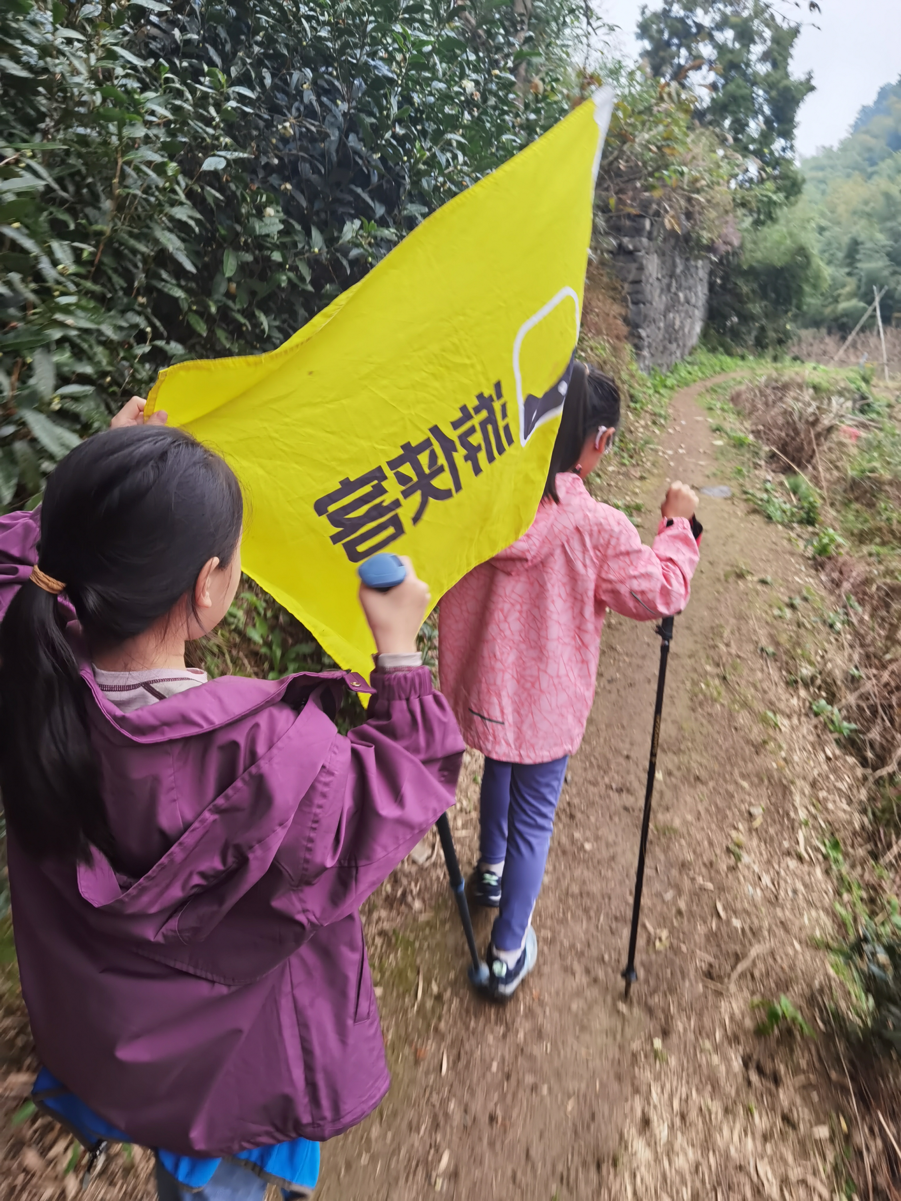 珍贵亲子时光(东岗资金松20241109)
