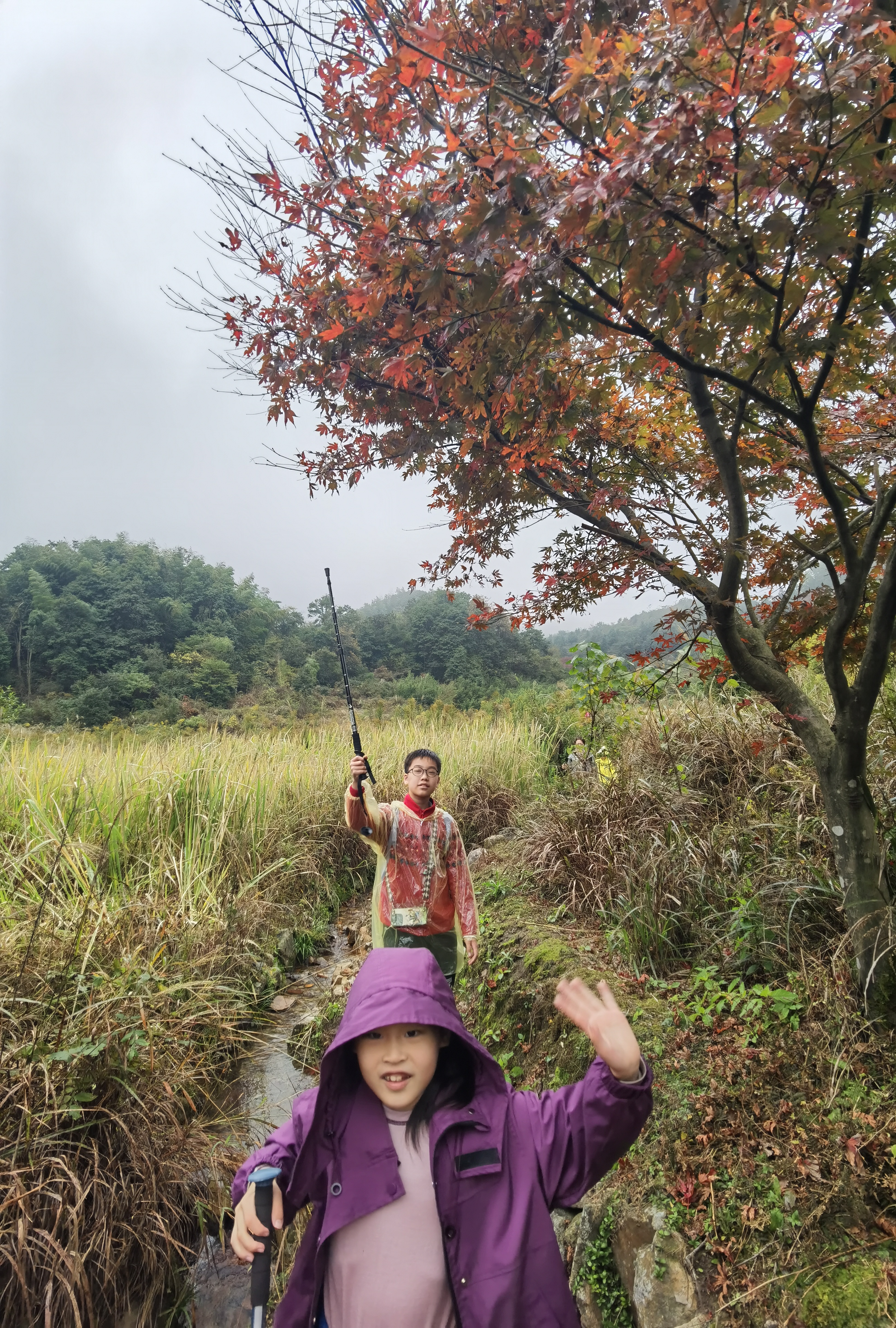 珍贵亲子时光(东岗资金松20241109)