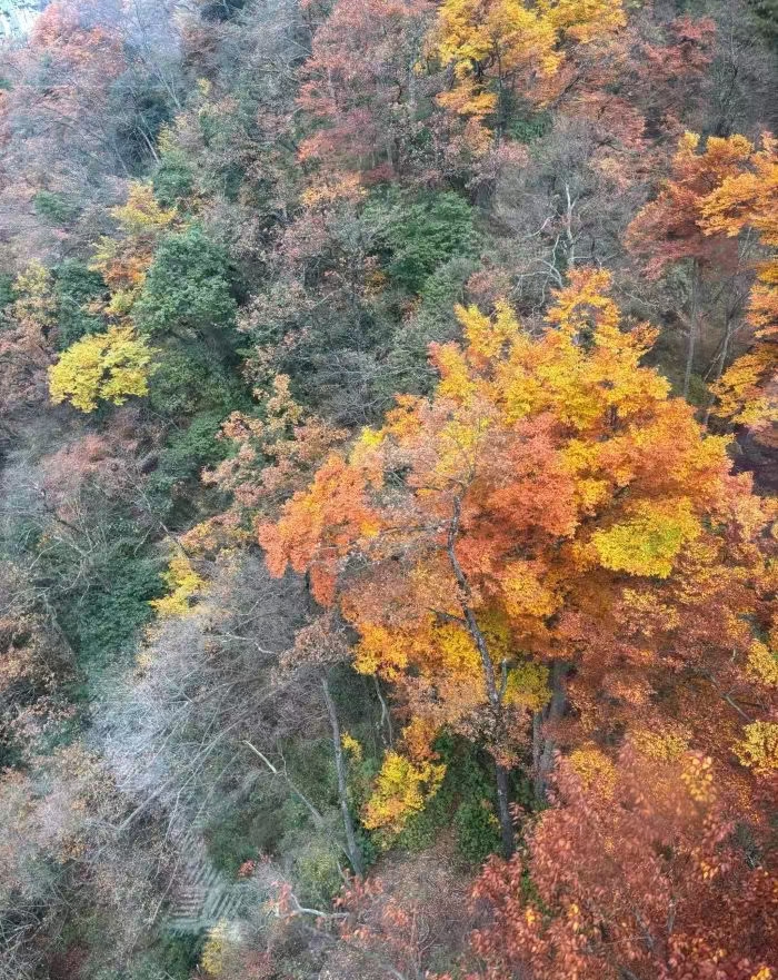 龙头山