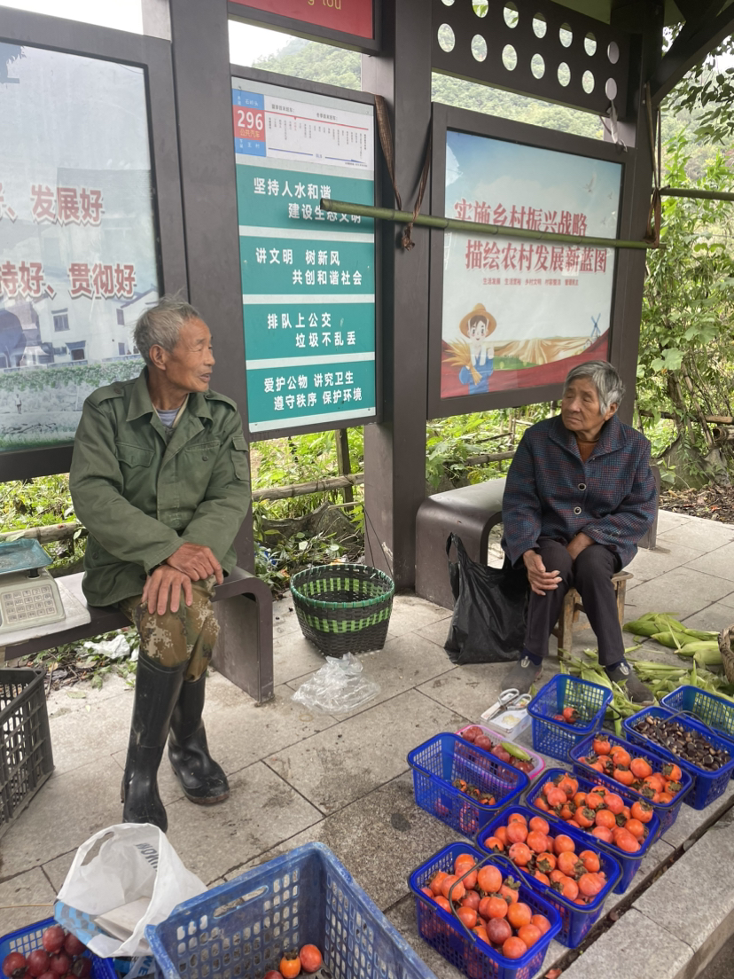 诸暨王村柿子