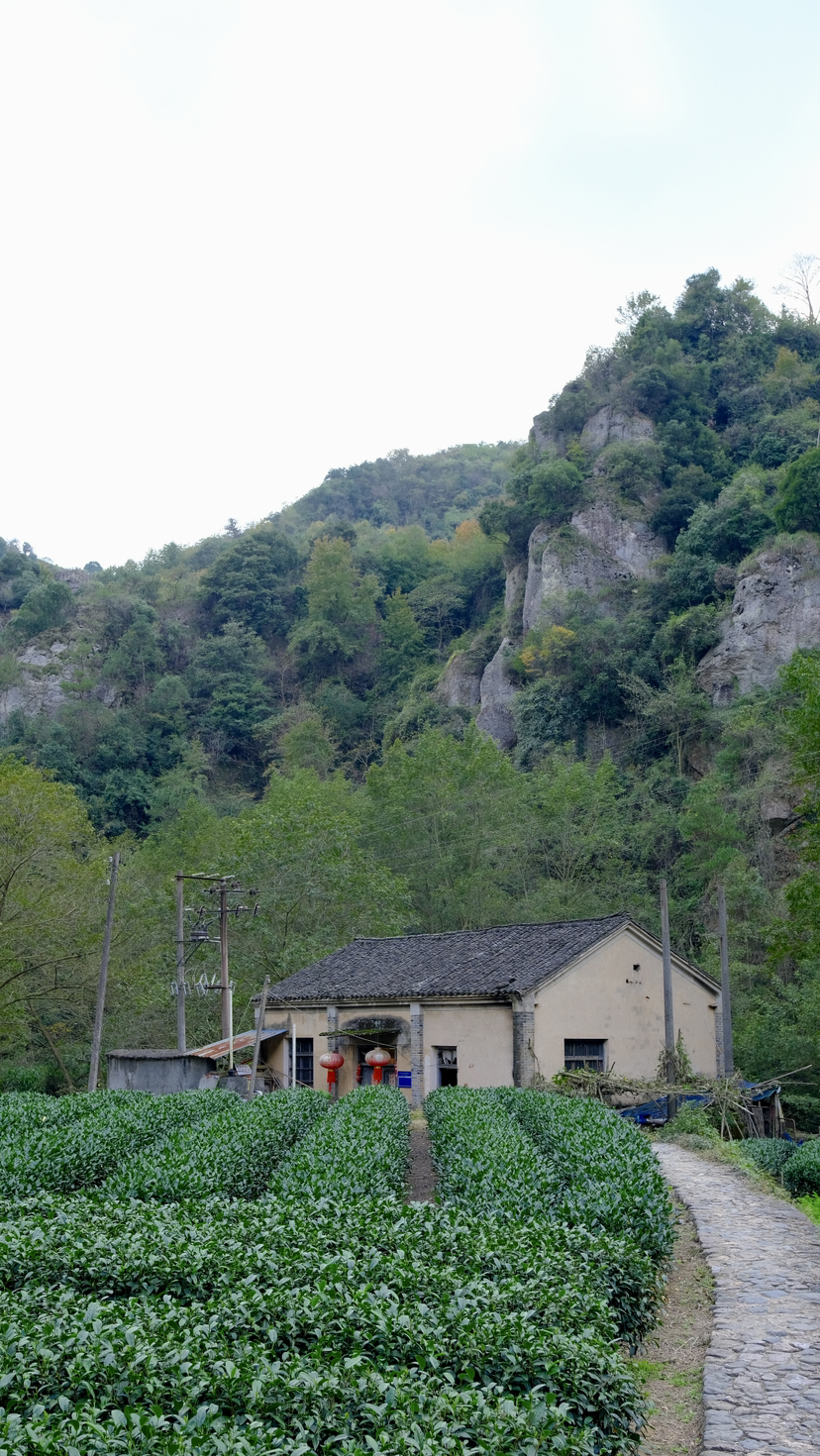 在韩妃江古道旁恰杯咖啡☕️