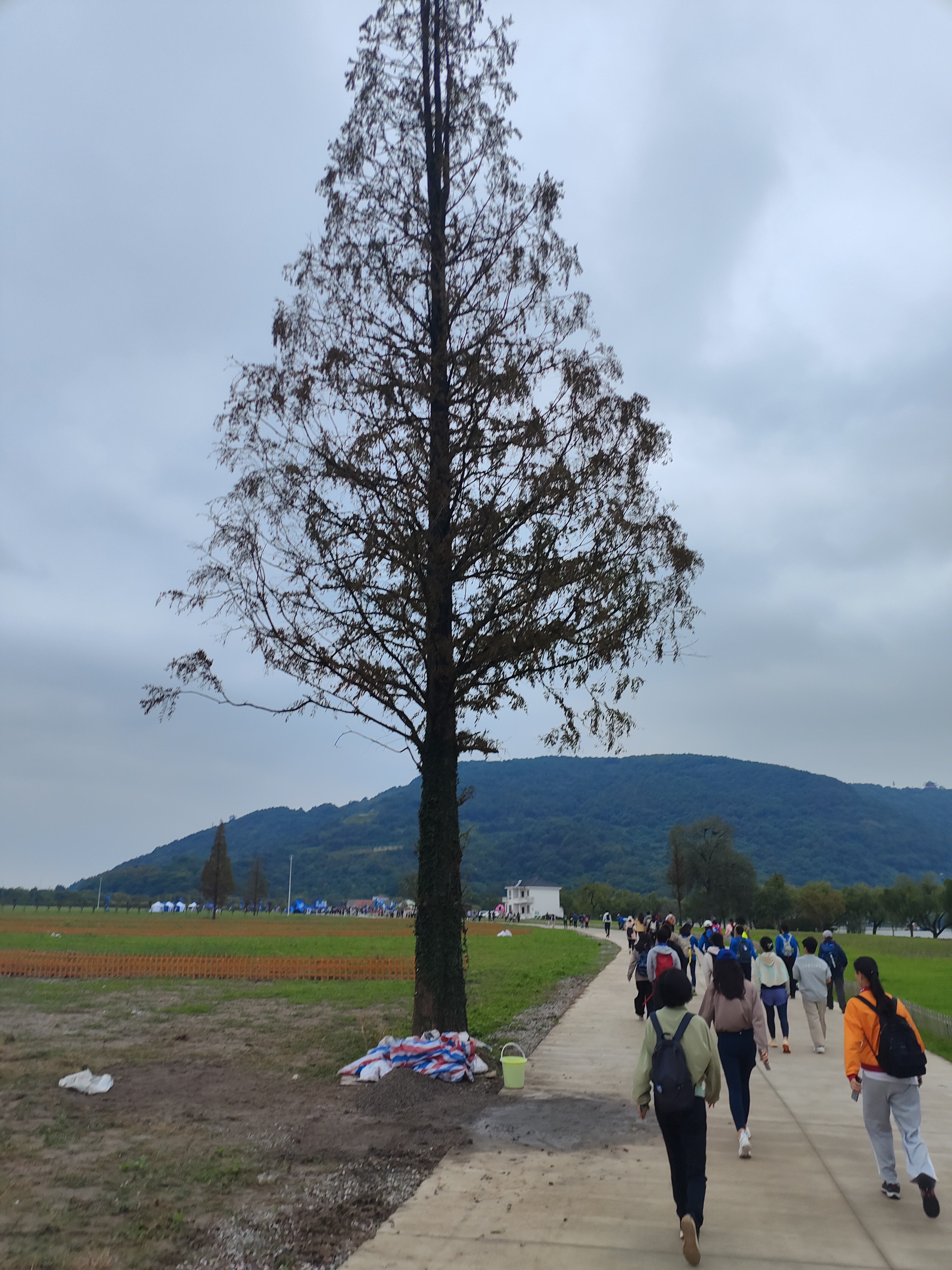2024.10.19 高阳山 15 公里组(一)