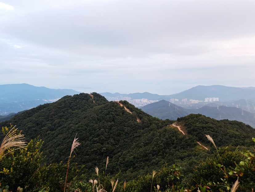 深圳三水线
