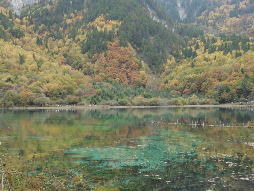 九寨秋色环线之穿越彩林与冰川的奇幻之旅