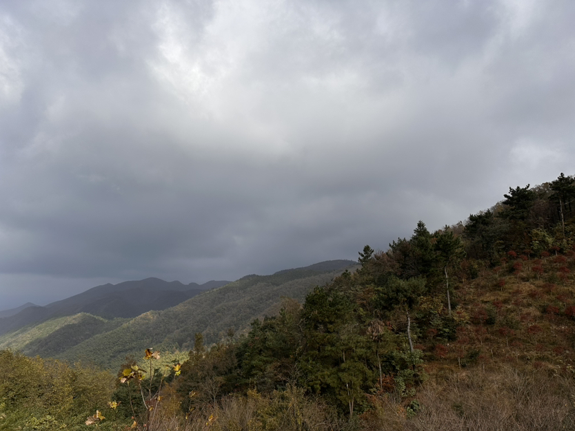 秋雨微凉2024.11.09 十字裤秋景
