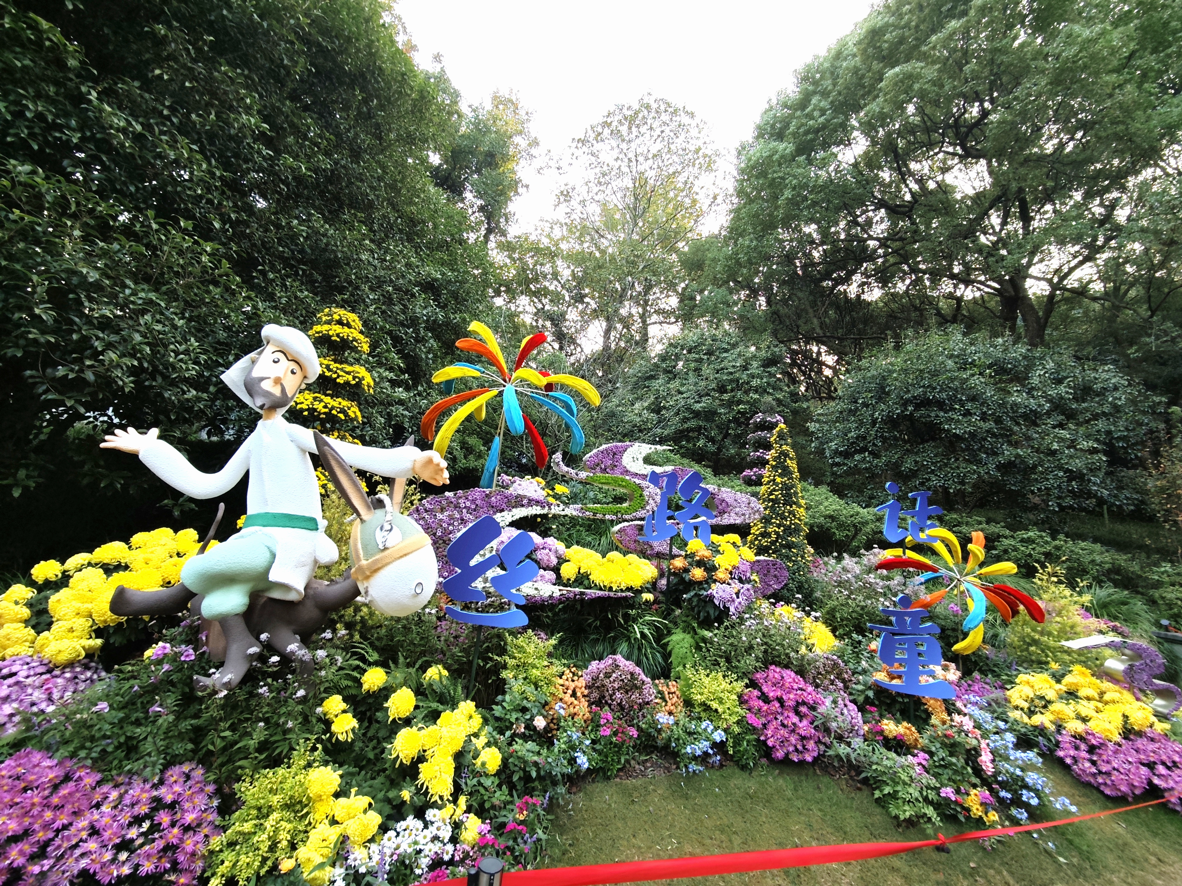 杭州植物园赏菊