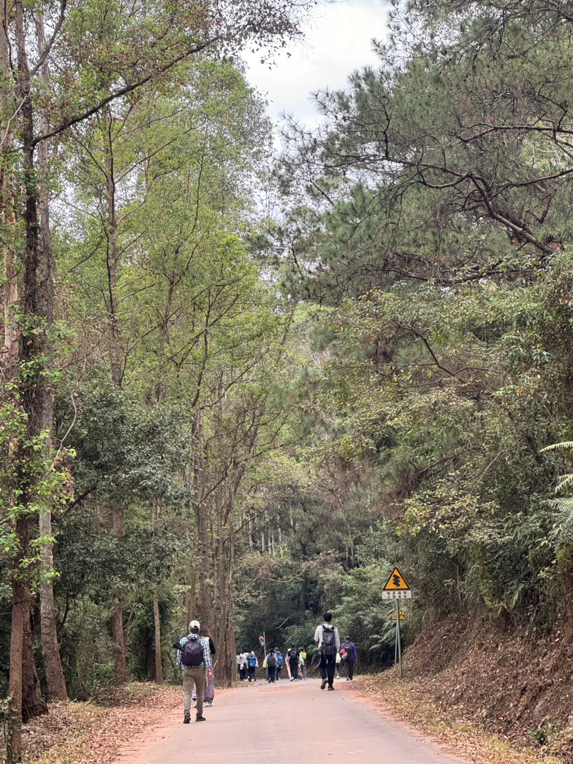 茶山游园/平沙岛骑行