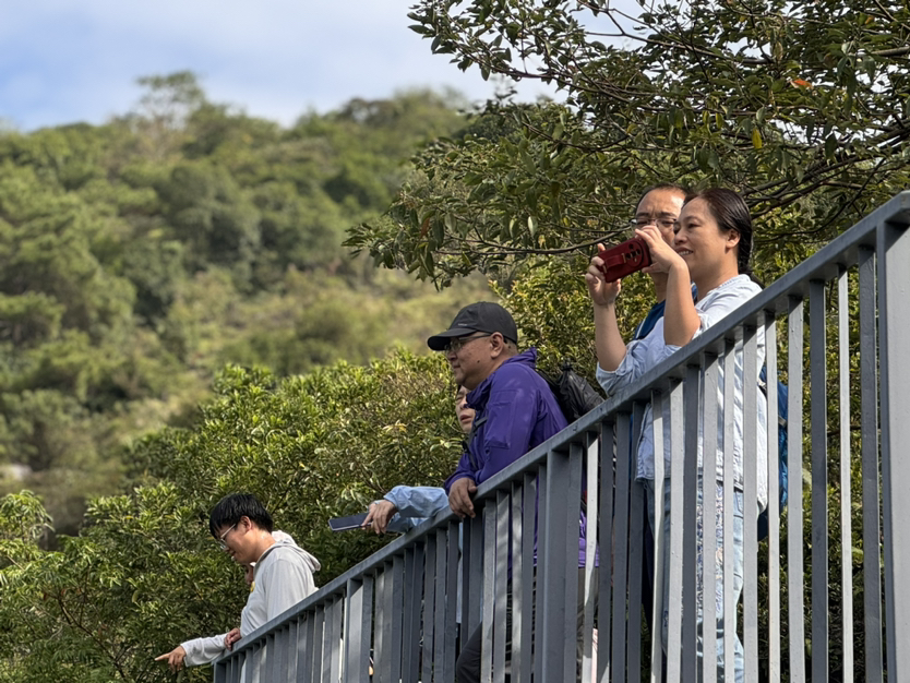 茶山游园/平沙岛骑行