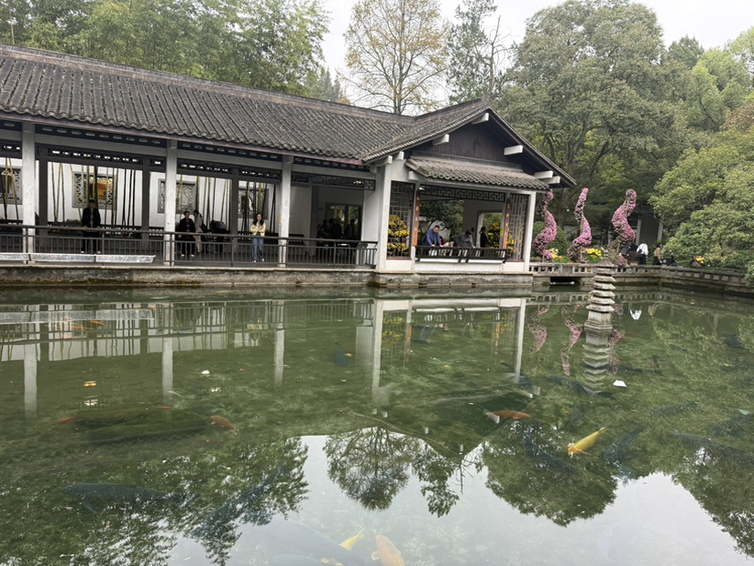 杭州植物园玉泉鱼跃