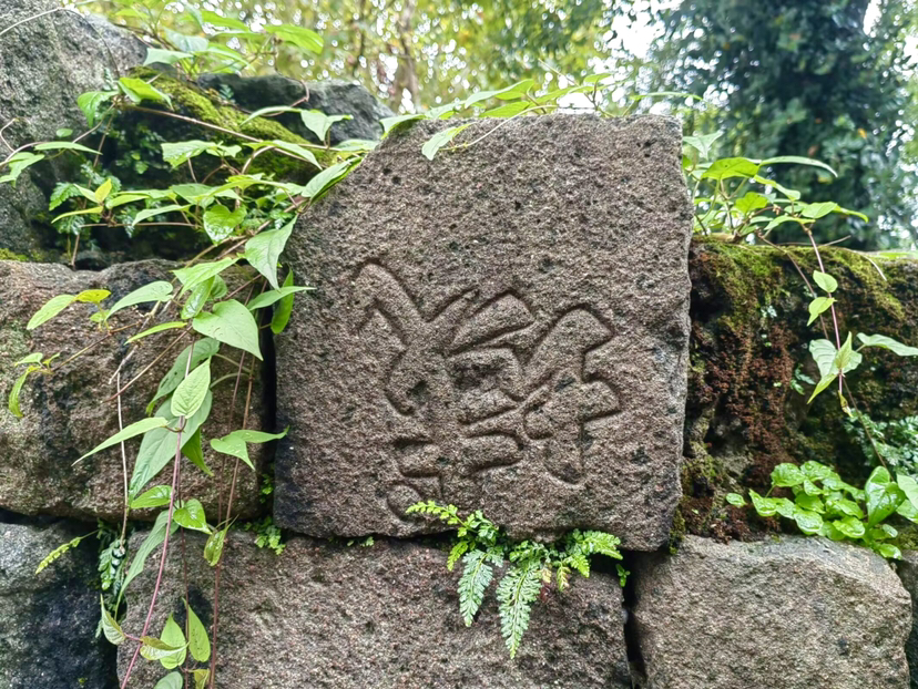 慈城慈湖