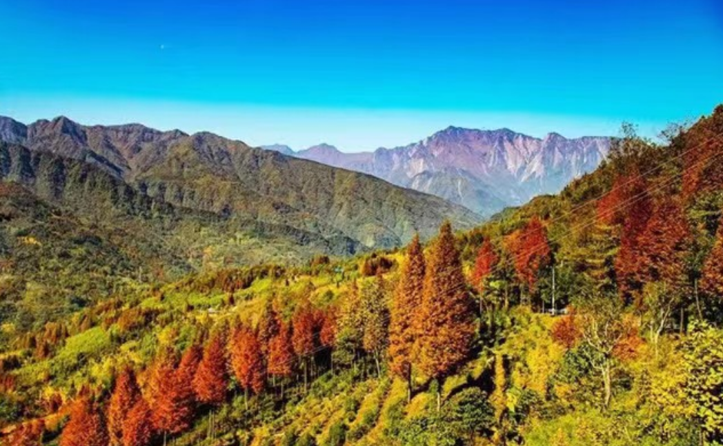 金凤山