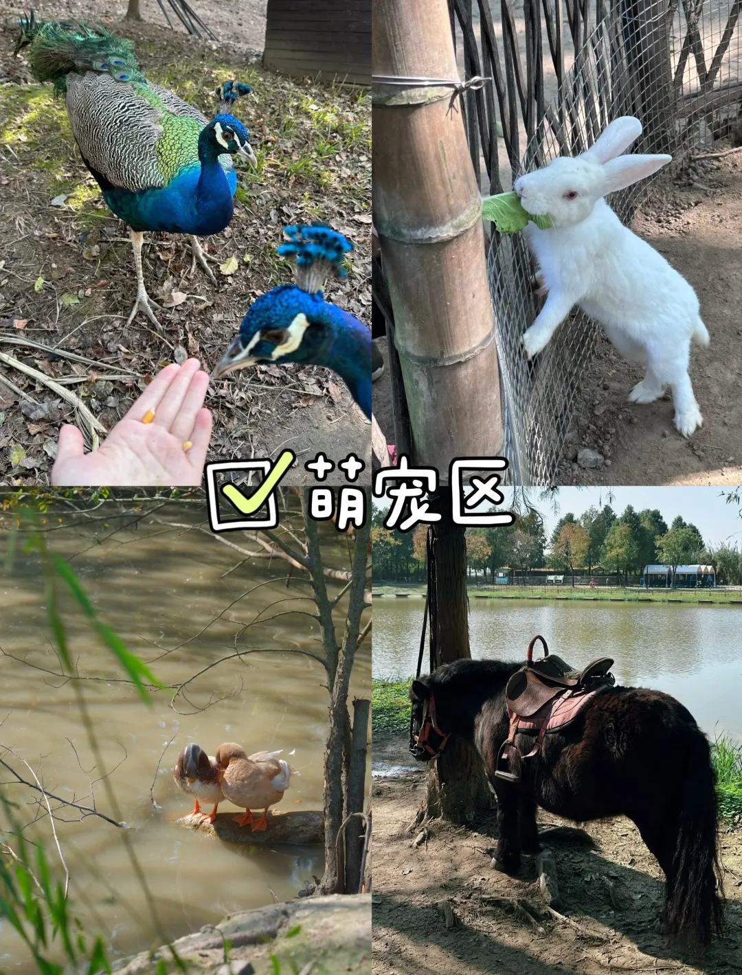 杭州湾国家湿地公园