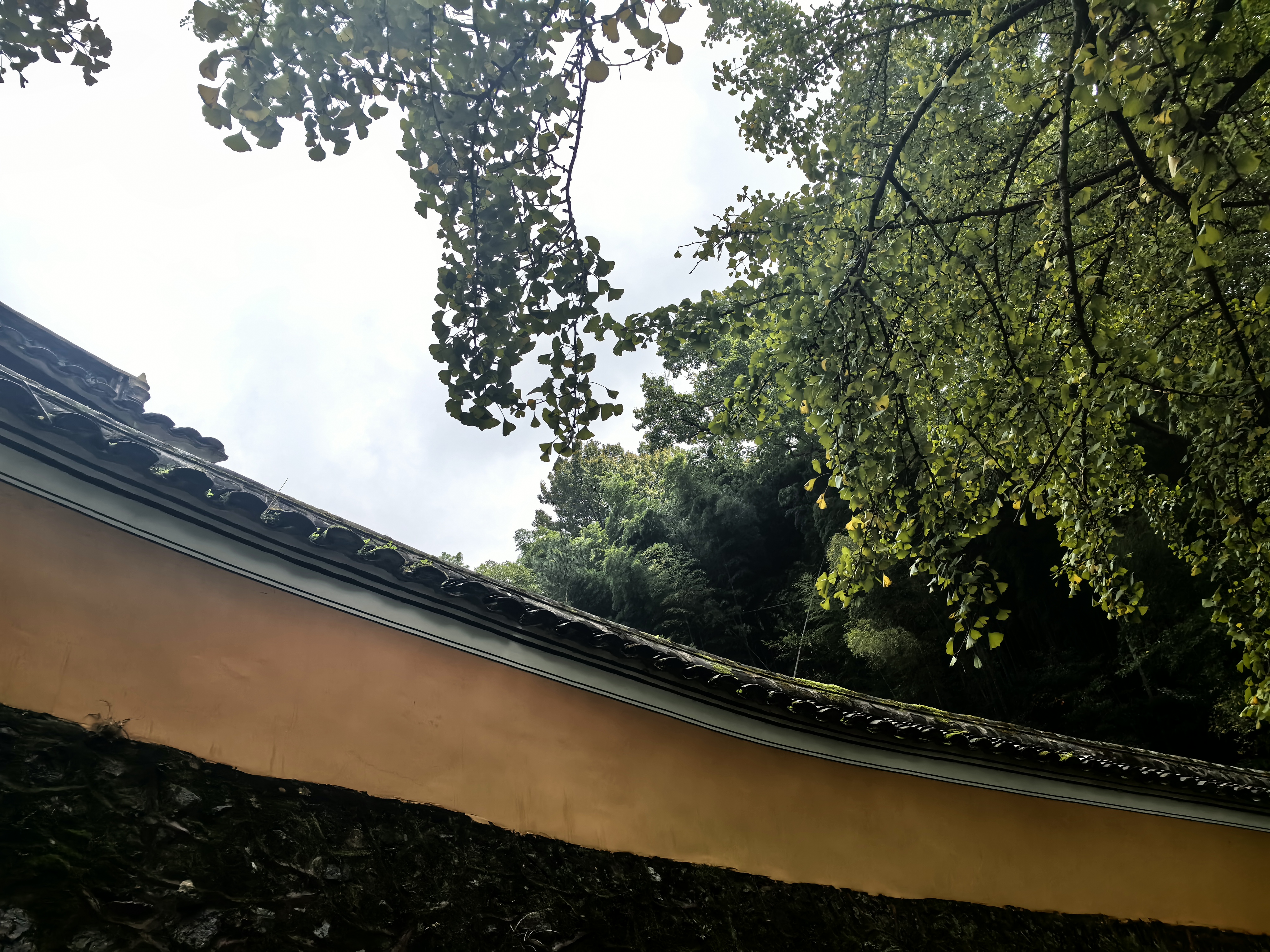 天童寺的天空