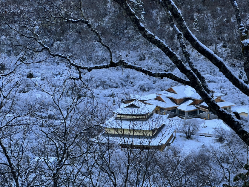 九寨沟彩林盛宴
