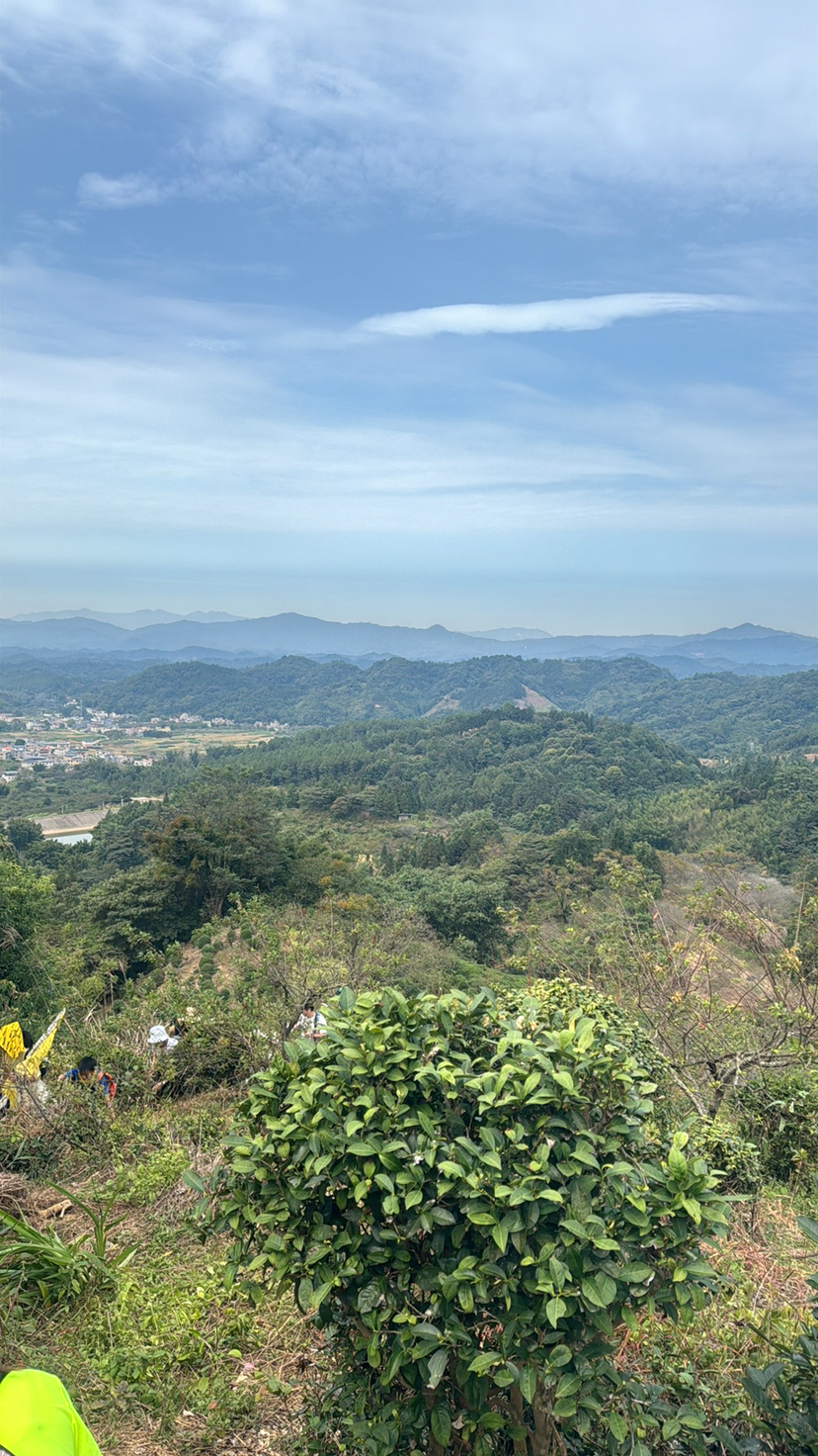 桂峰山登山节
