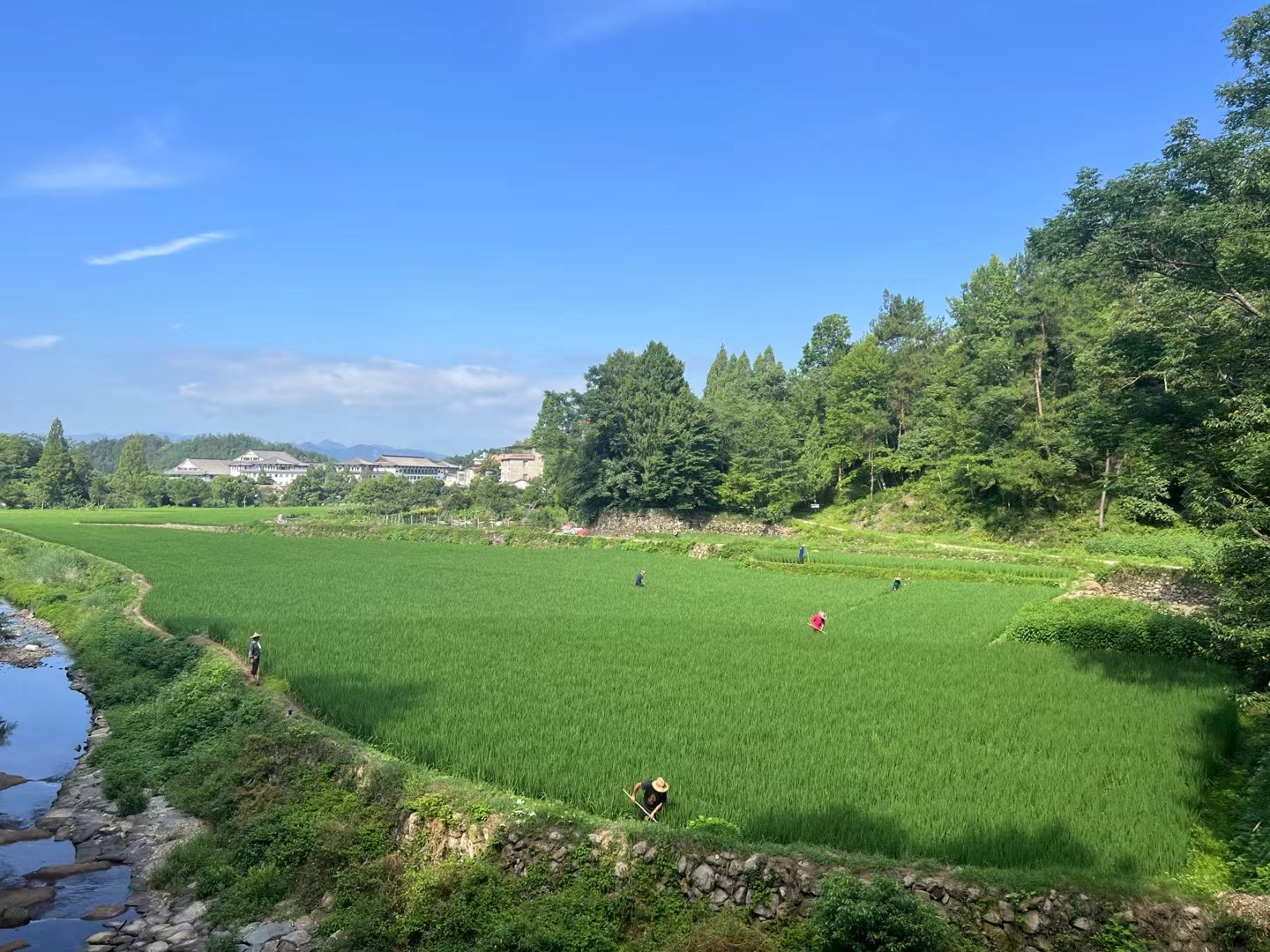 漂亮的天台山
