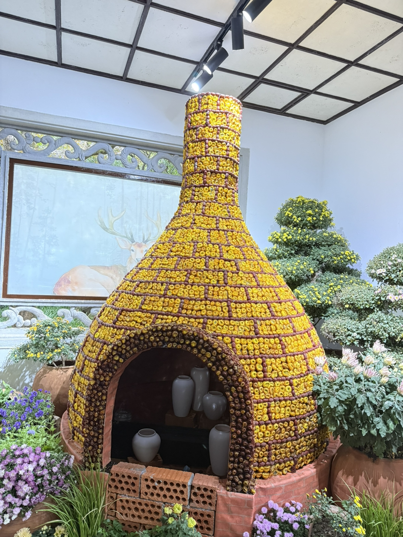 杭州植物园菊花展