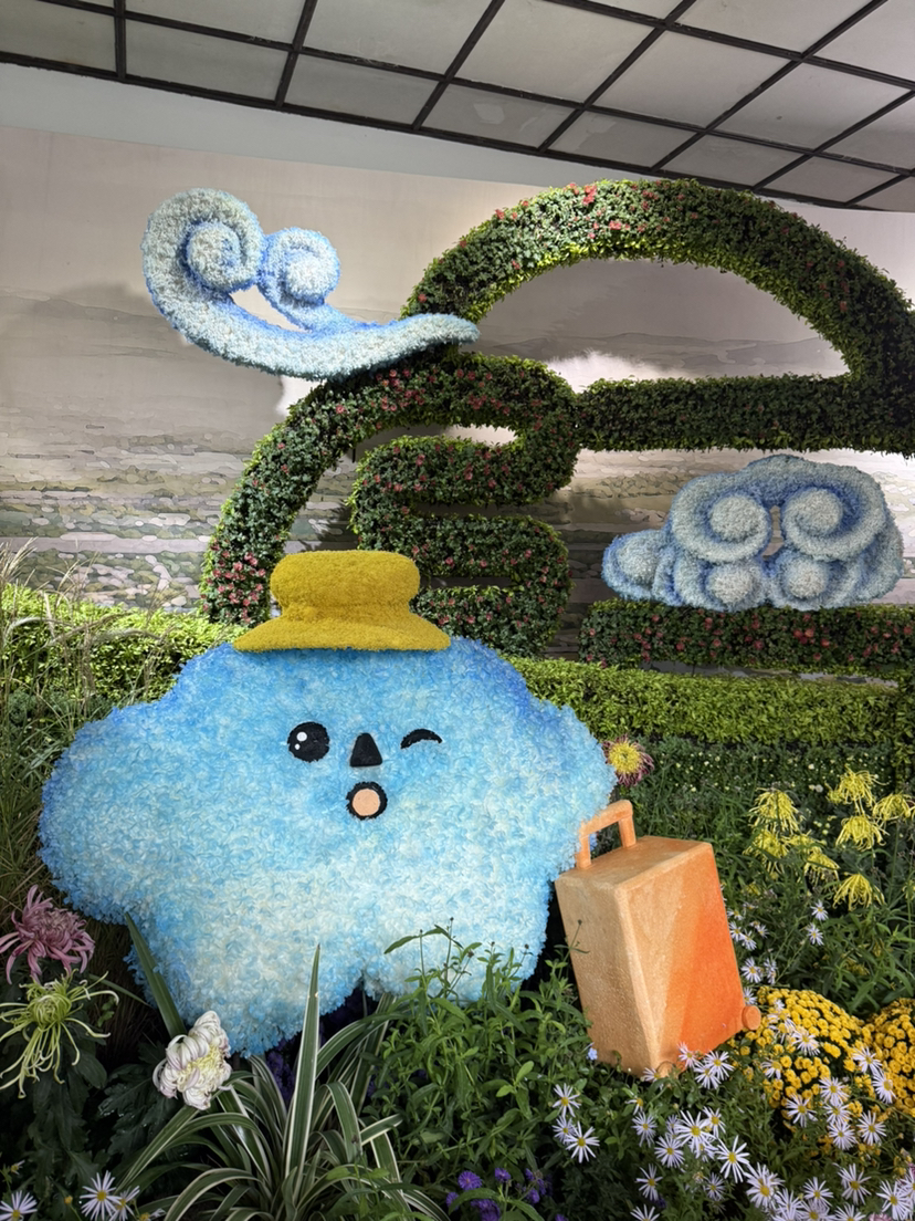 杭州植物园菊花展