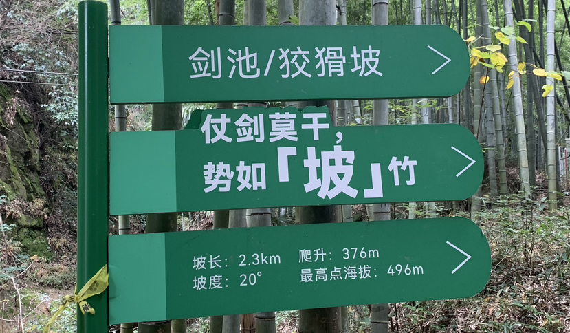 莫干山,蒋公古道徒步,一次自然和历史的对话之旅