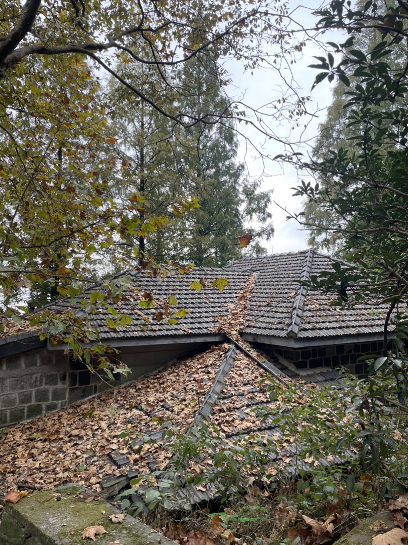 莫干山,蒋公古道徒步,一次自然和历史的对话之旅