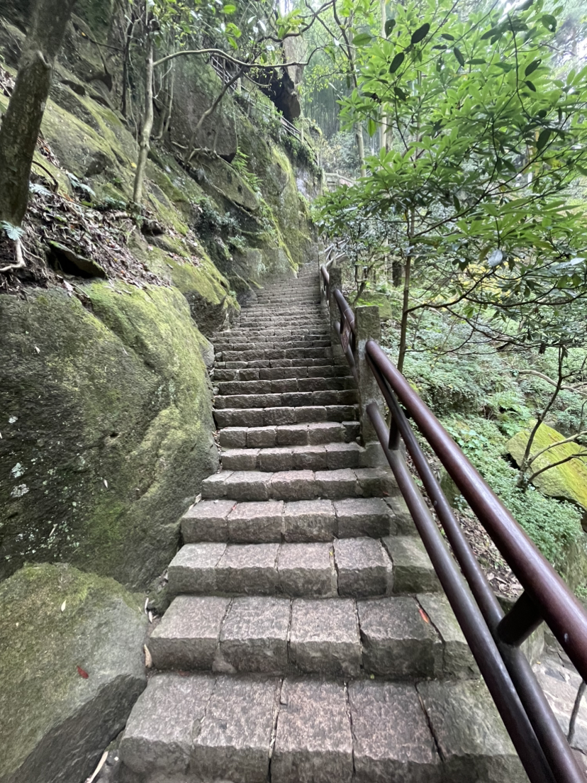 莫干山,蒋公古道徒步,一次自然和历史的对话之旅