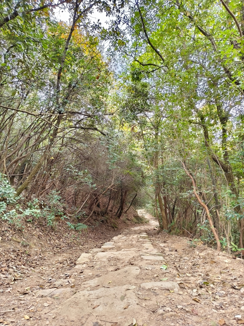 莫干山,蒋公古道徒步,一次自然和历史的对话之旅