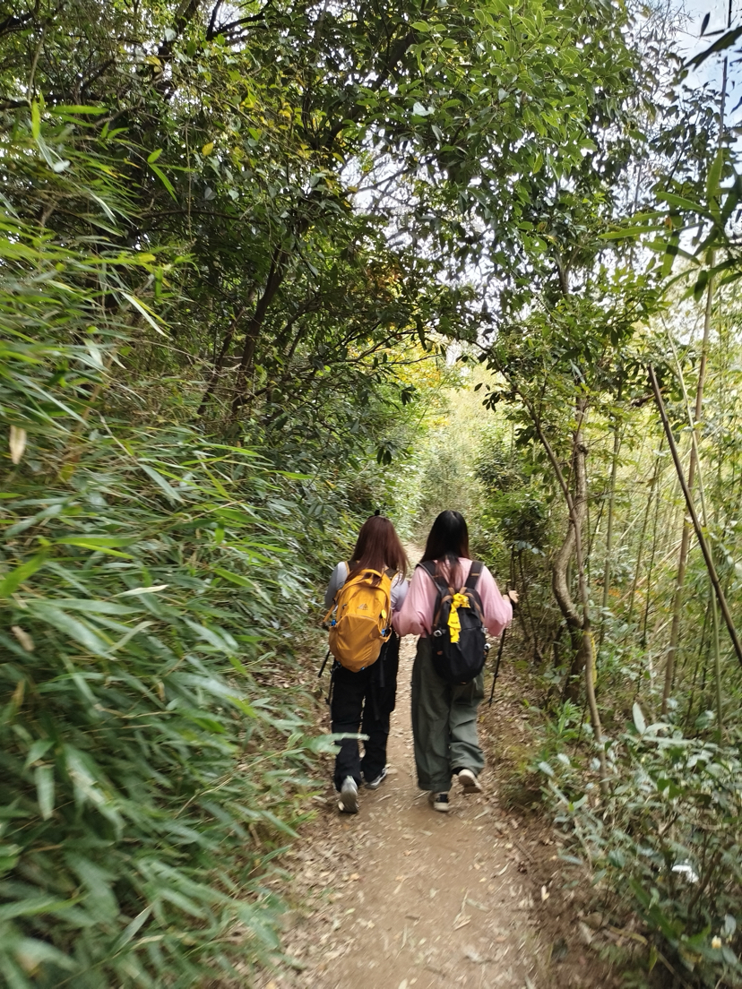 莫干山,蒋公古道徒步,一次自然和历史的对话之旅