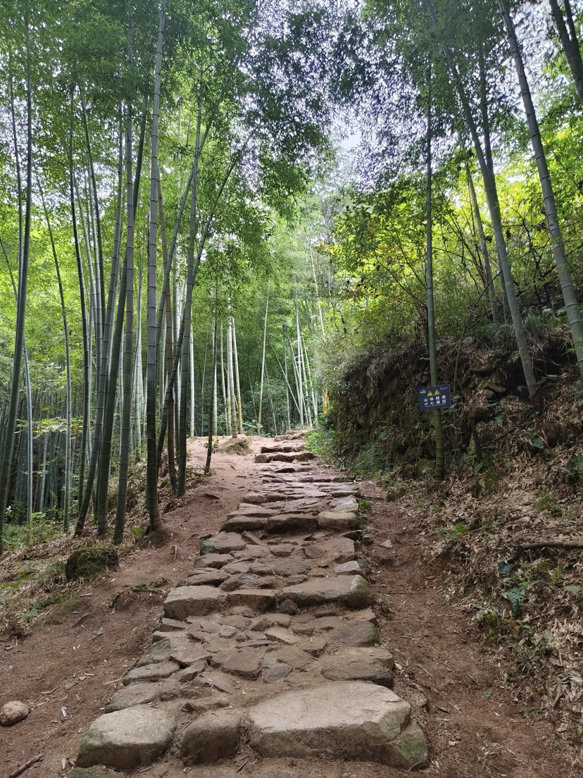 莫干山,蒋公古道徒步,一次自然和历史的对话之旅