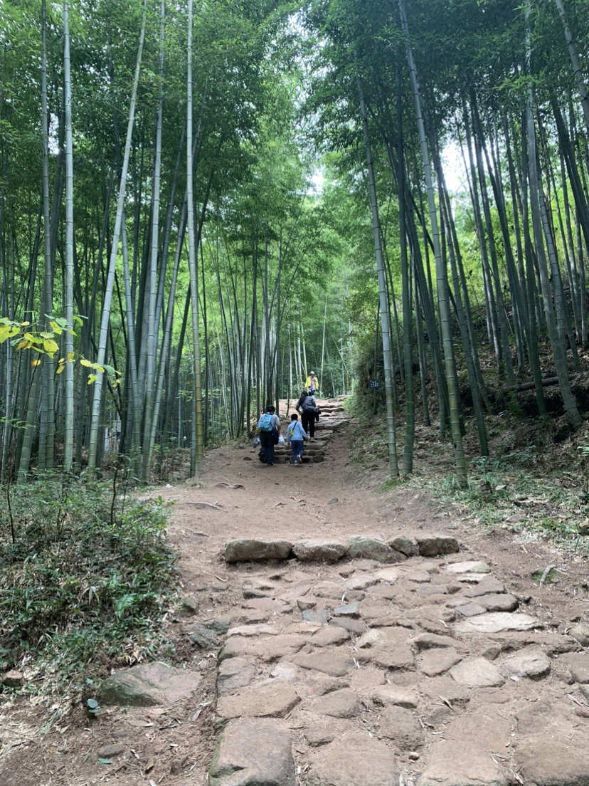 莫干山,蒋公古道徒步,一次自然和历史的对话之旅