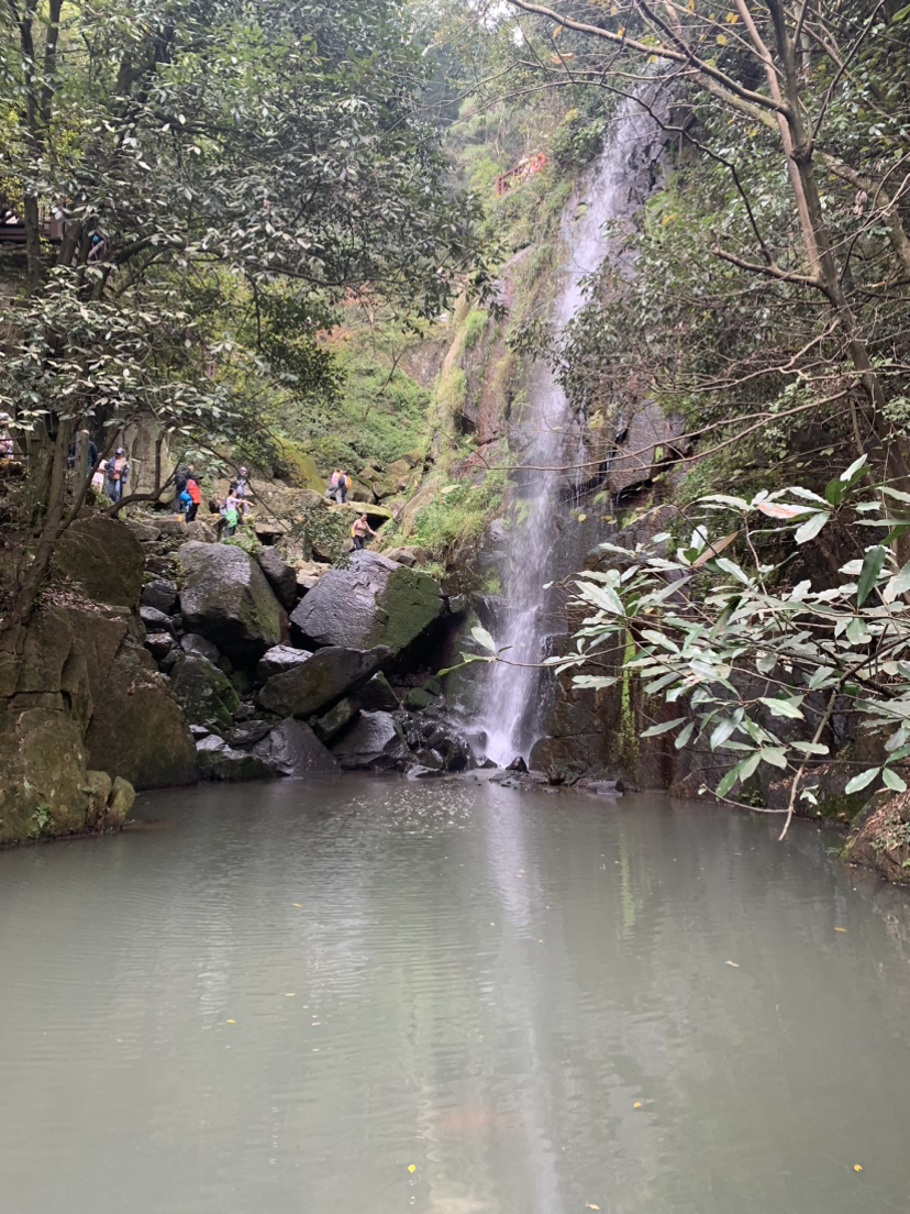 莫干山,蒋公古道徒步,一次自然和历史的对话之旅