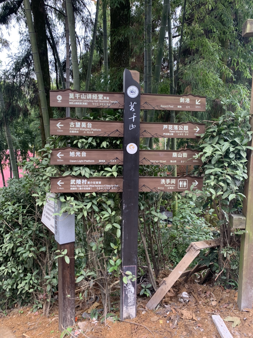 莫干山，蒋公古道徒步，一次自然和历史的对话之旅