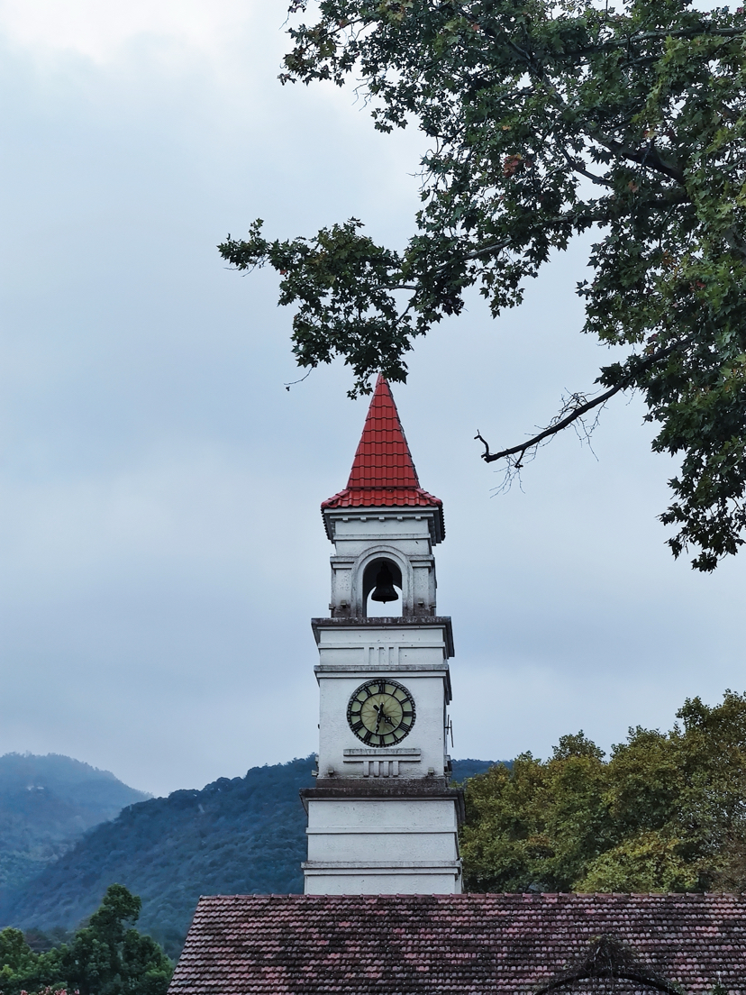 莫干山,蒋公古道徒步,一次自然和历史的对话之旅