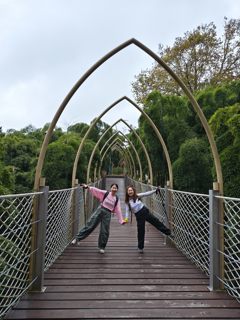 莫干山,蒋公古道徒步,一次自然和历史的对话之旅